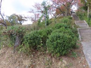 作業前の写真１