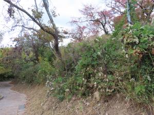 作業前の写真２