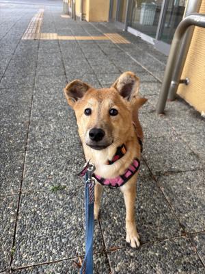 けんたろう正面