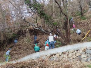 作業の様子（1回目）