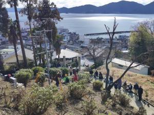 町が一望できるようになりました