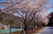 野呂峡やすらぎダム公園