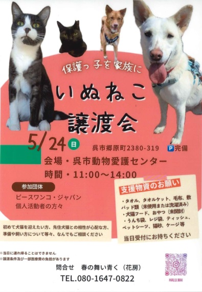 チラシ