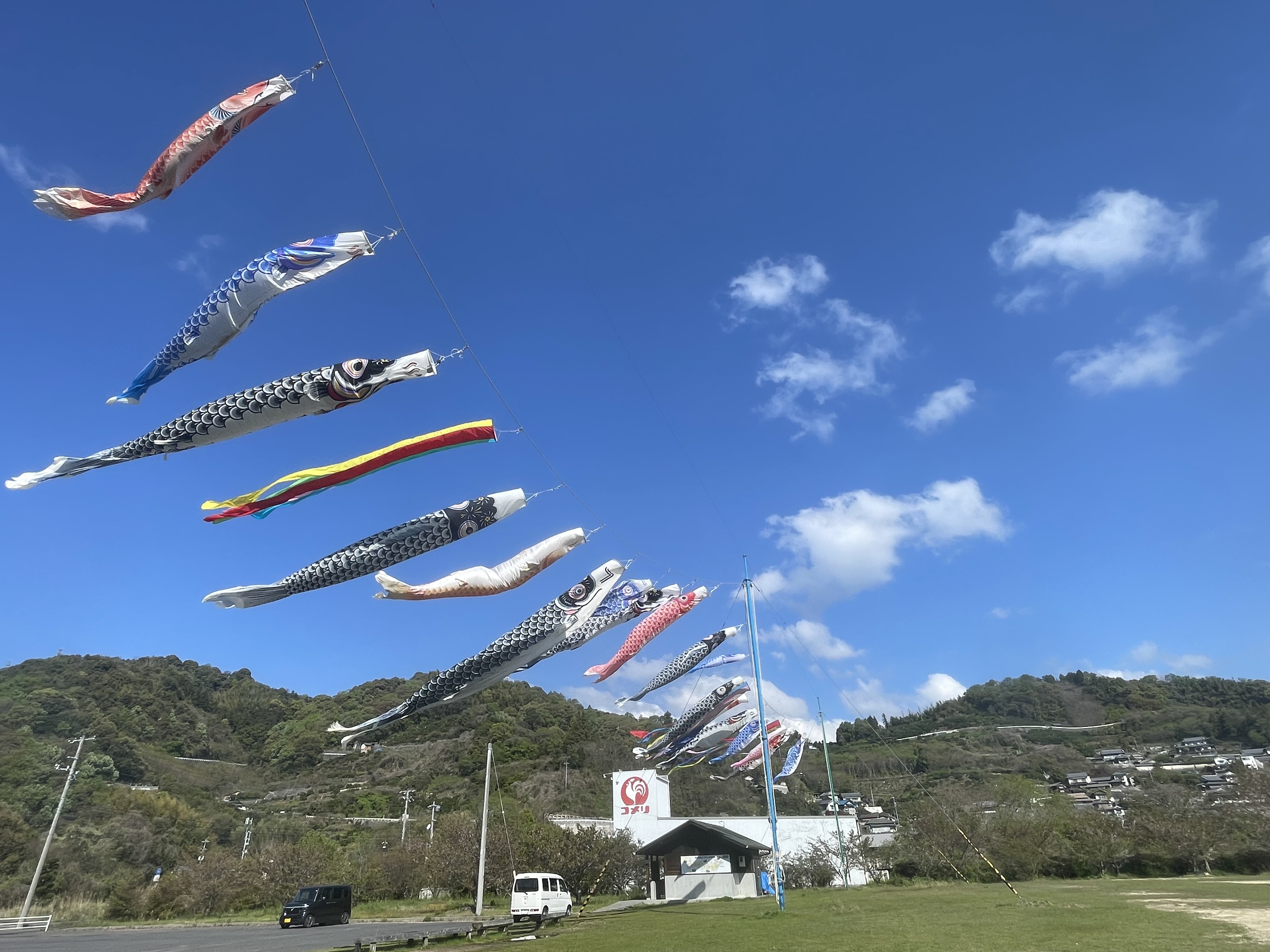 下蒲刈鯉のぼり１