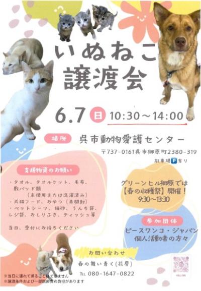 チラシ２