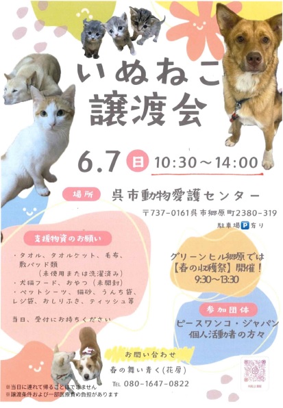 チラシ