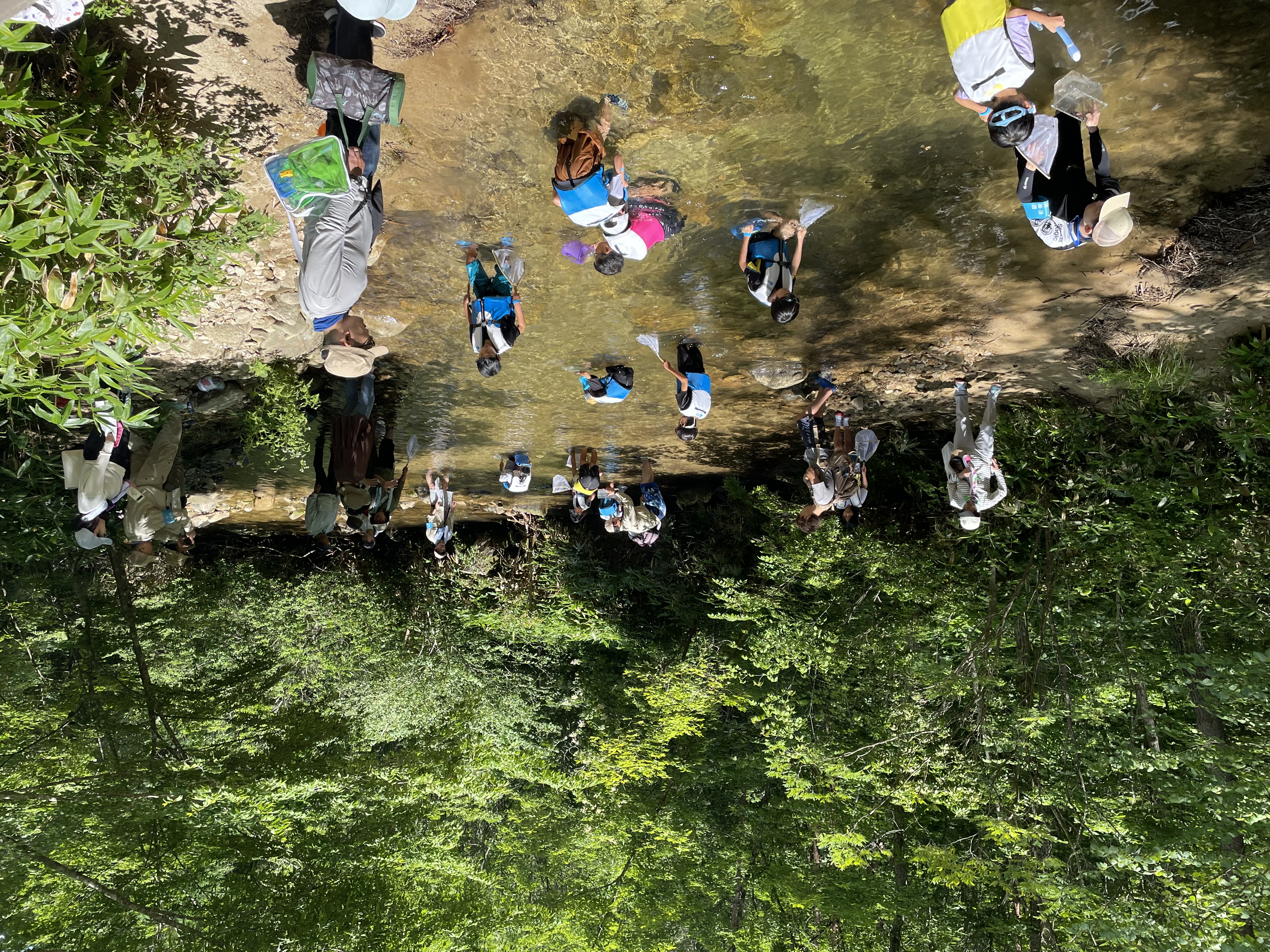 水生生物観察１