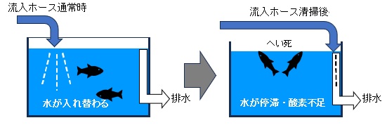 魚類監視装置(水槽)模式図