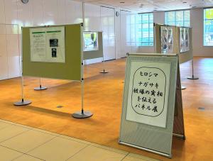 パネル展　写真１