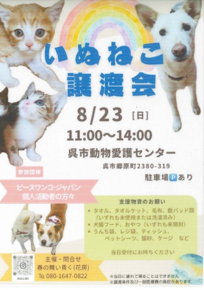 チラシ