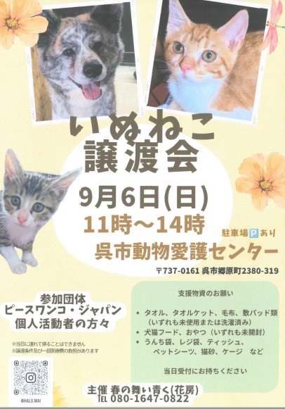チラシ