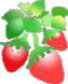 イチゴの画像